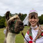 Hen do with alpaca walking